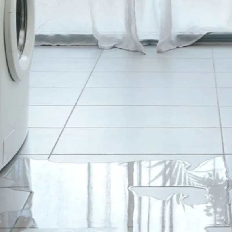 Appliance Leak Cleanup in Clyde, NC