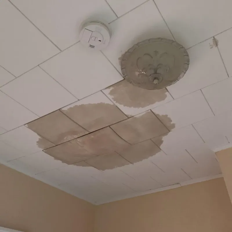 Ceiling Water Damage Repair in Clyde, NC
