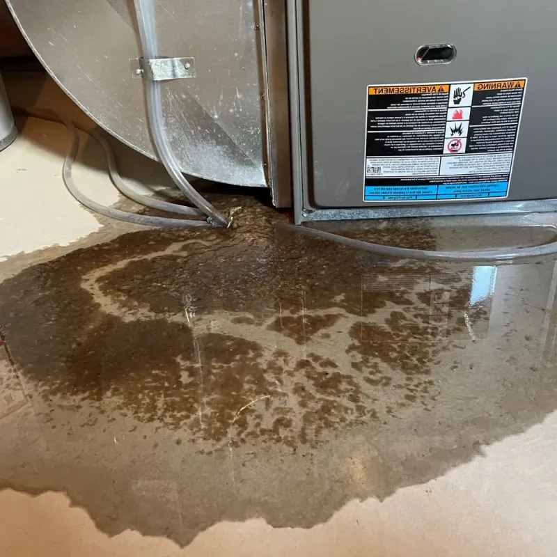 Pipe Burst and Leak Restoration in Clyde, NC