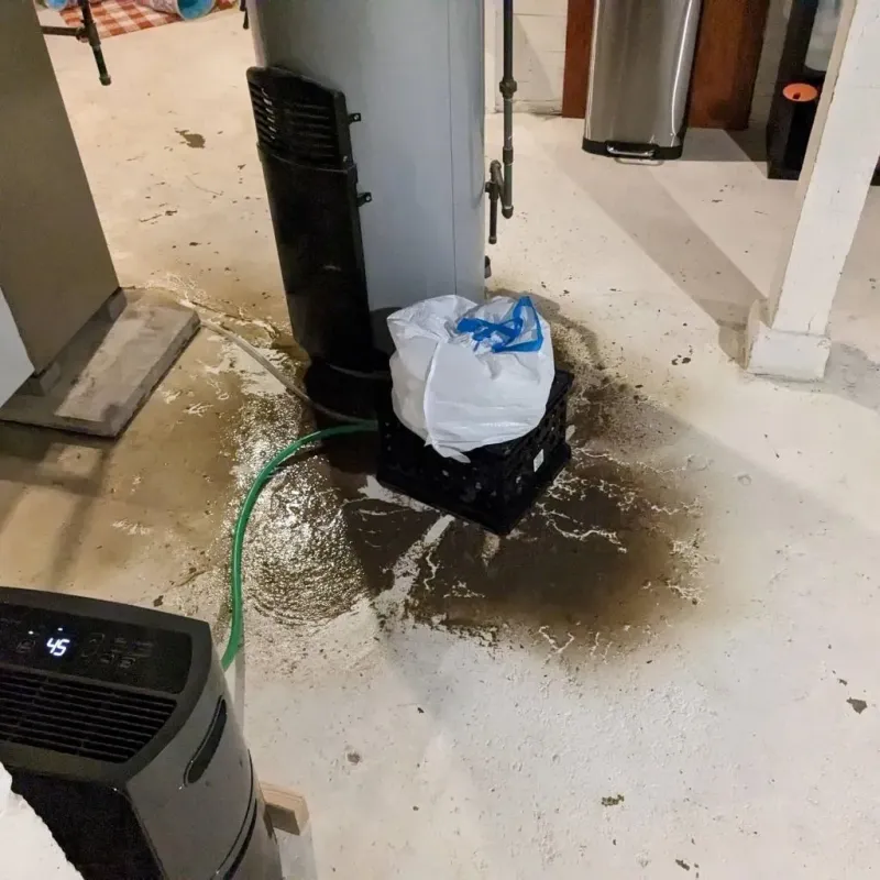 Sewage Backup Cleanup Service in Clyde, NC